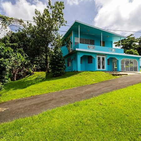 Rainforest Retreat 15 Min From The Beach Luquillo Buitenkant foto