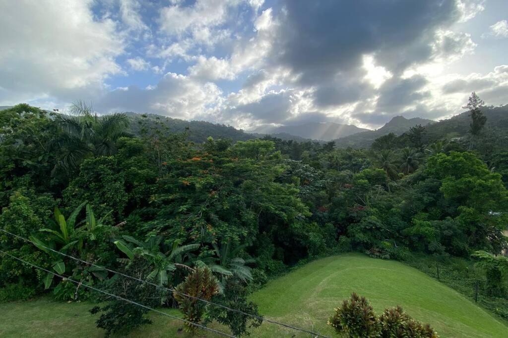 Rainforest Retreat 15 Min From The Beach Luquillo Buitenkant foto