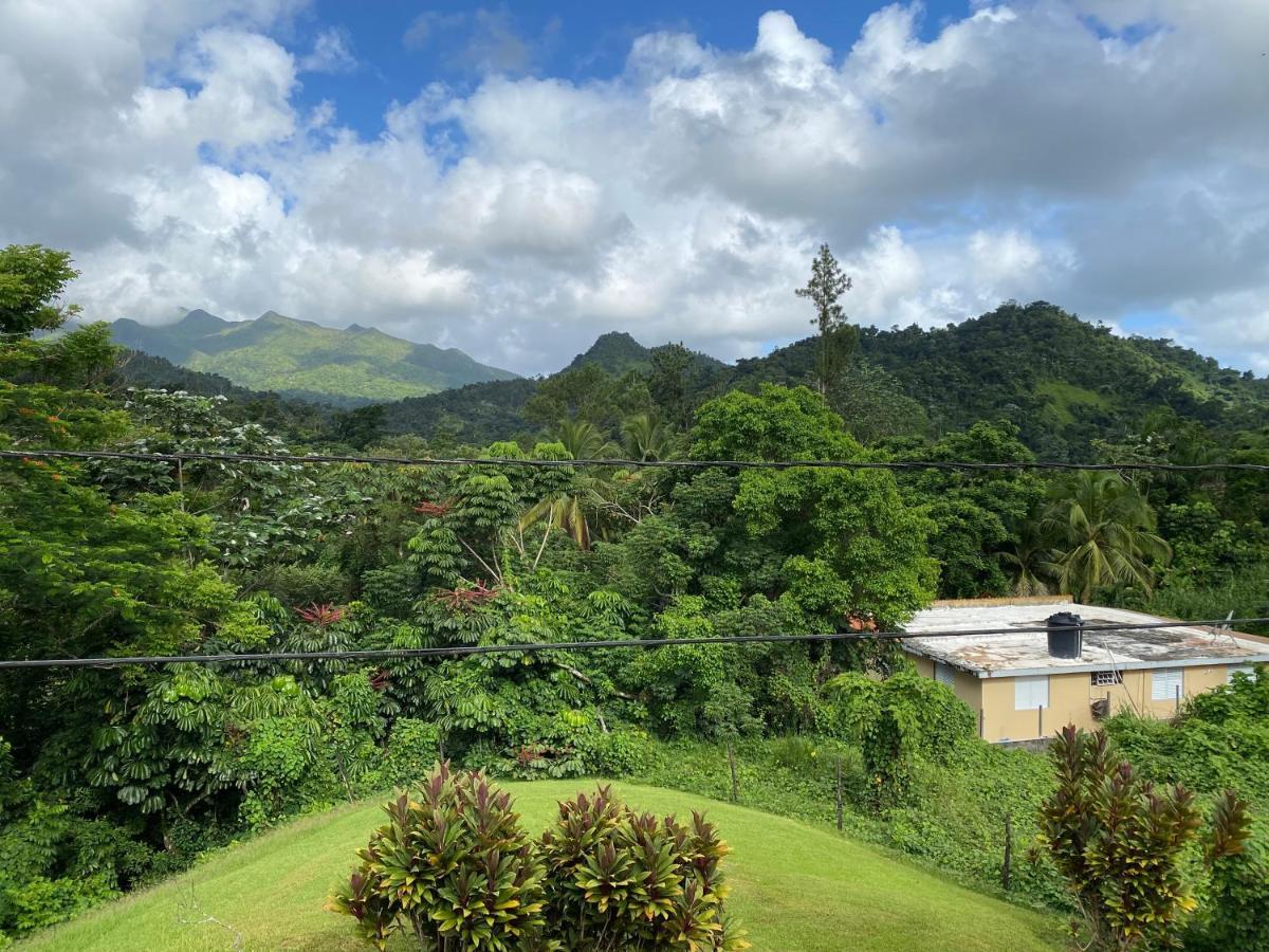 Rainforest Retreat 15 Min From The Beach Luquillo Buitenkant foto