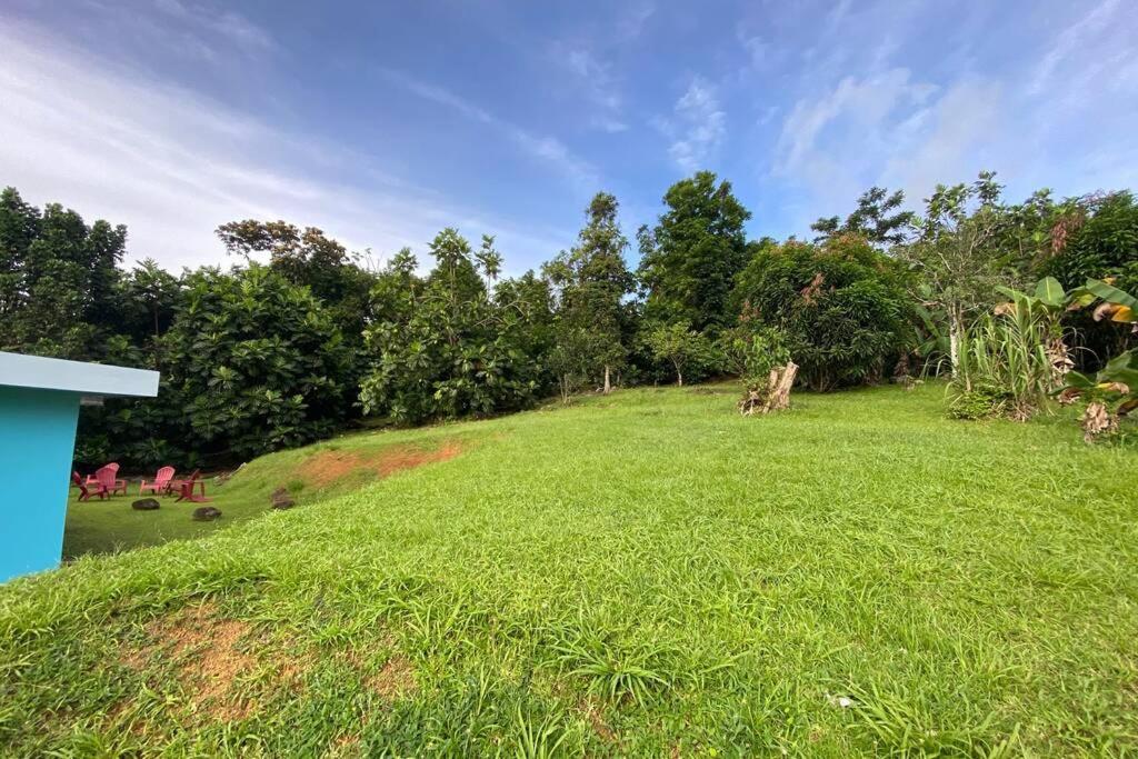 Rainforest Retreat 15 Min From The Beach Luquillo Buitenkant foto