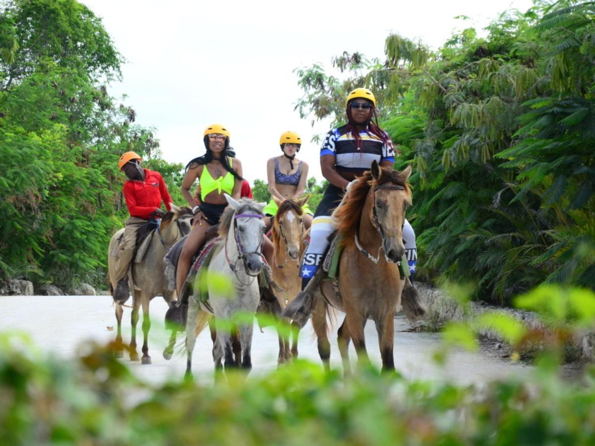 Rainforest Retreat 15 Min From The Beach Luquillo Buitenkant foto