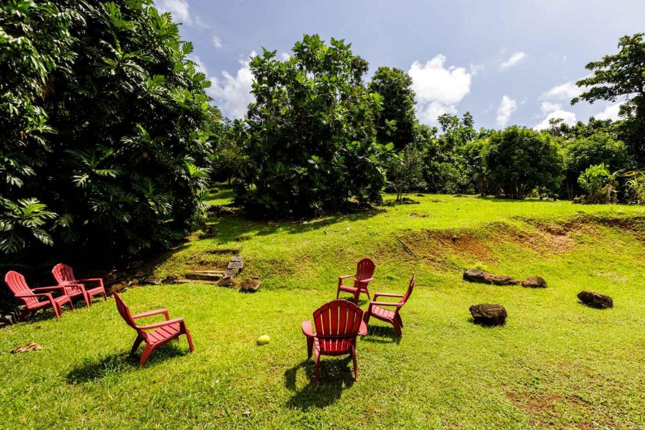 Rainforest Retreat 15 Min From The Beach Luquillo Buitenkant foto