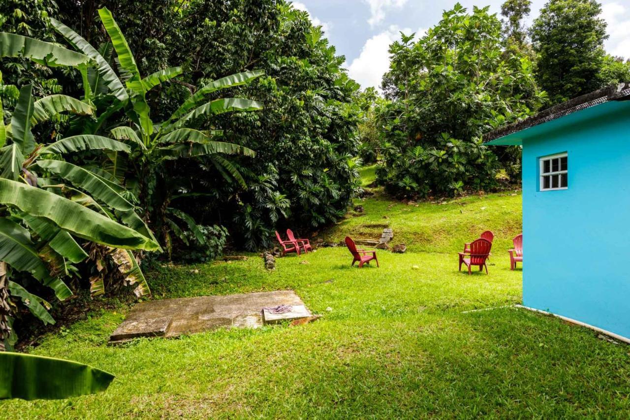 Rainforest Retreat 15 Min From The Beach Luquillo Buitenkant foto