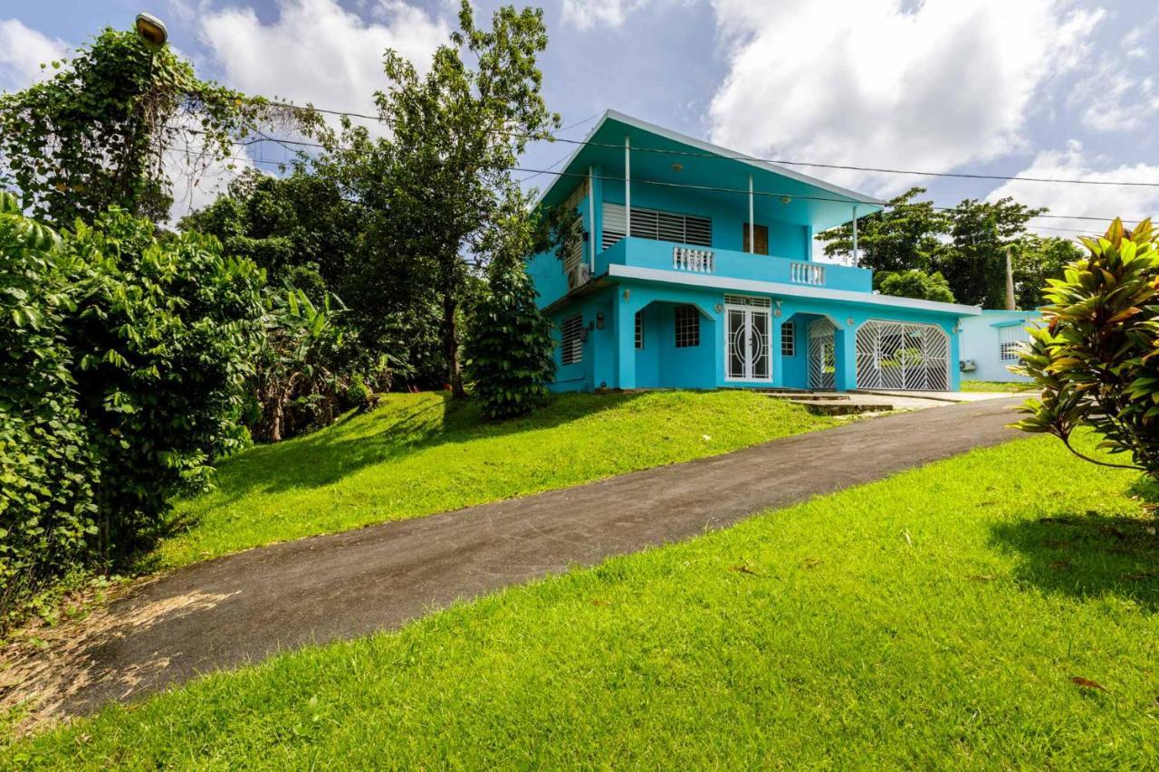 Rainforest Retreat 15 Min From The Beach Luquillo Buitenkant foto